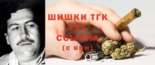 ECSTASY Медногорск