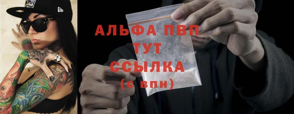 молекула духа Богородицк
