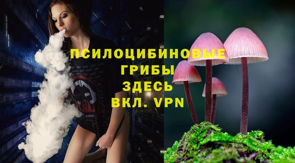 mdpv Медвежьегорск