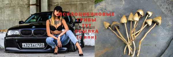 прущая мука Мегион