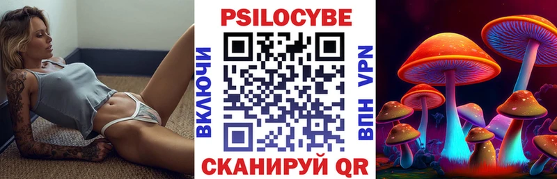 площадка Telegram  Кущёвская  Псилоцибиновые грибы прущие грибы 
